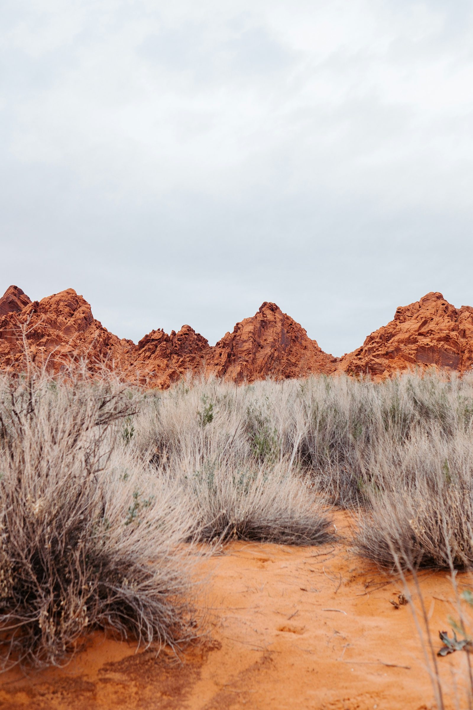 Red rock formations rising above dry grass