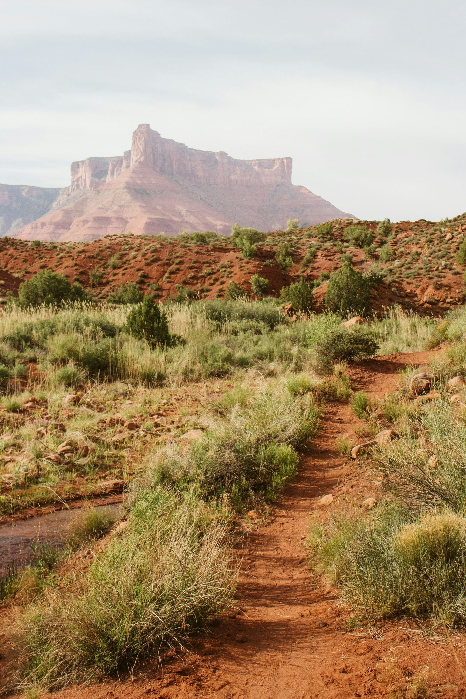 Open sagebrush country under a wide sky