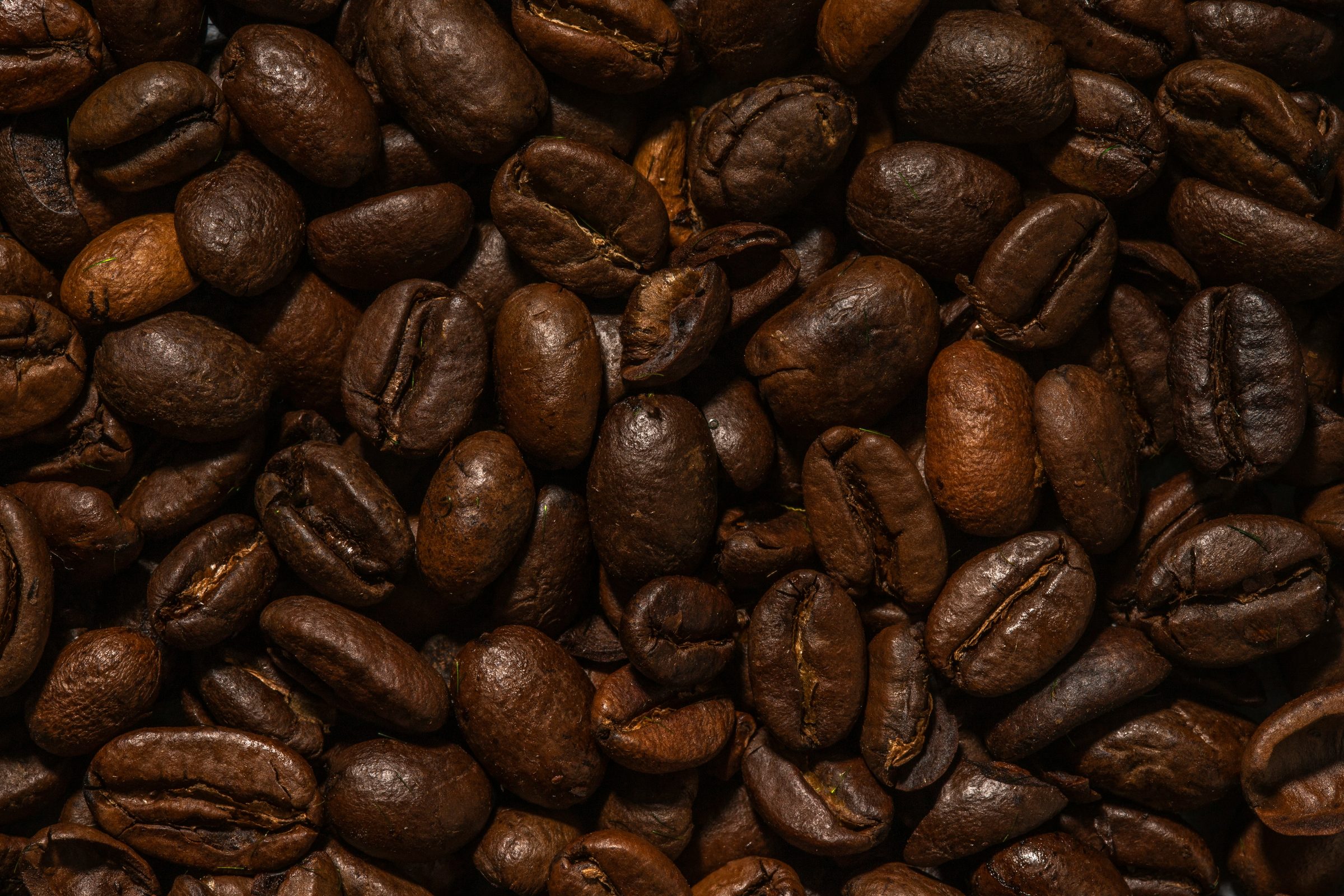 Dark roasted coffee beans